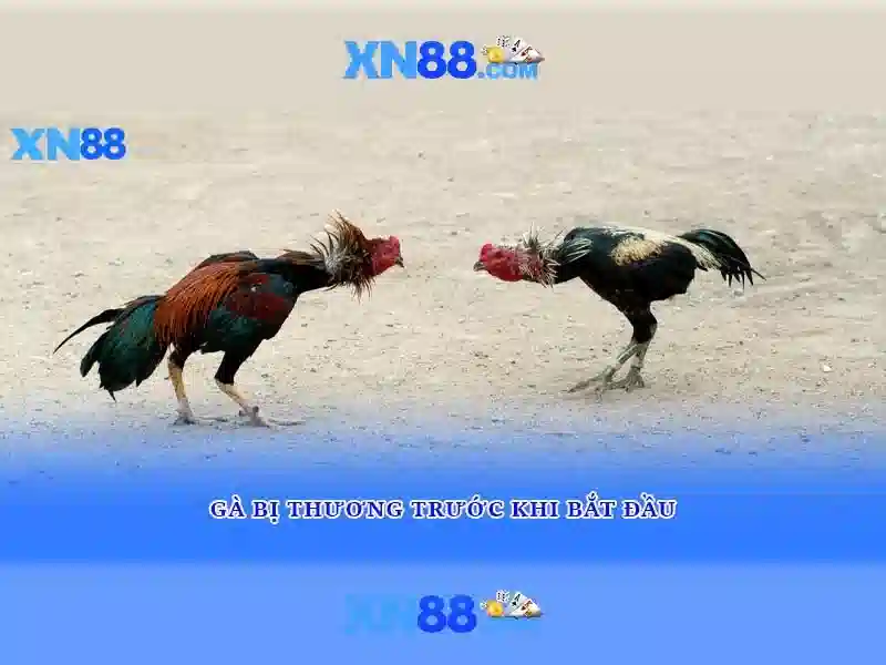 XN88 – Trang Chủ XN88 Chính Thức Không Bị Chặn 2026