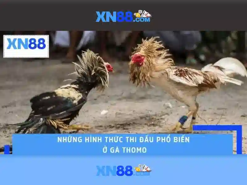 Trải Nghiệm Game Slot Đỉnh Cao Với Tỷ Lệ Thưởng Cao