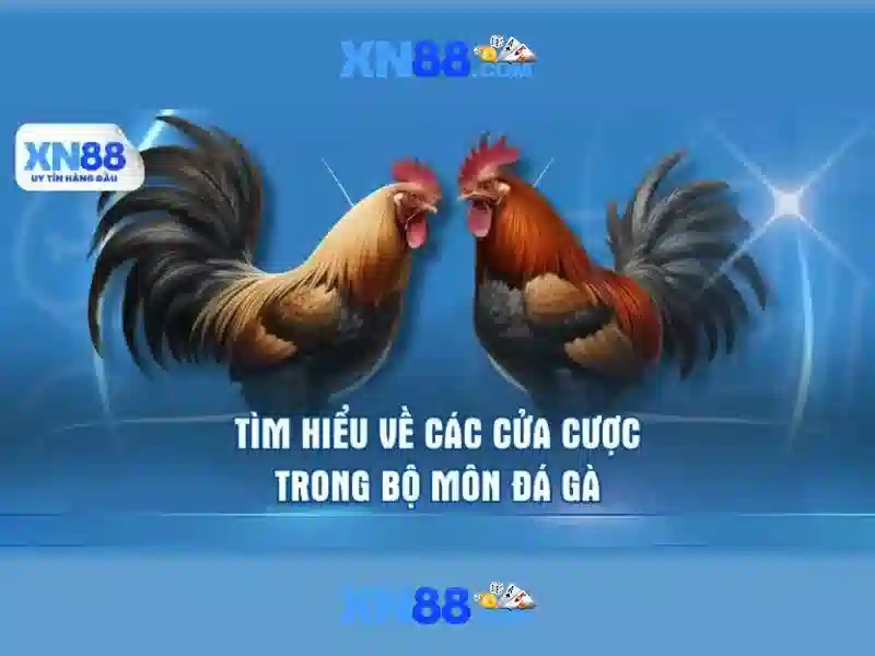 Hướng dẫn sử dụng nền tảng Slot trực tuyến