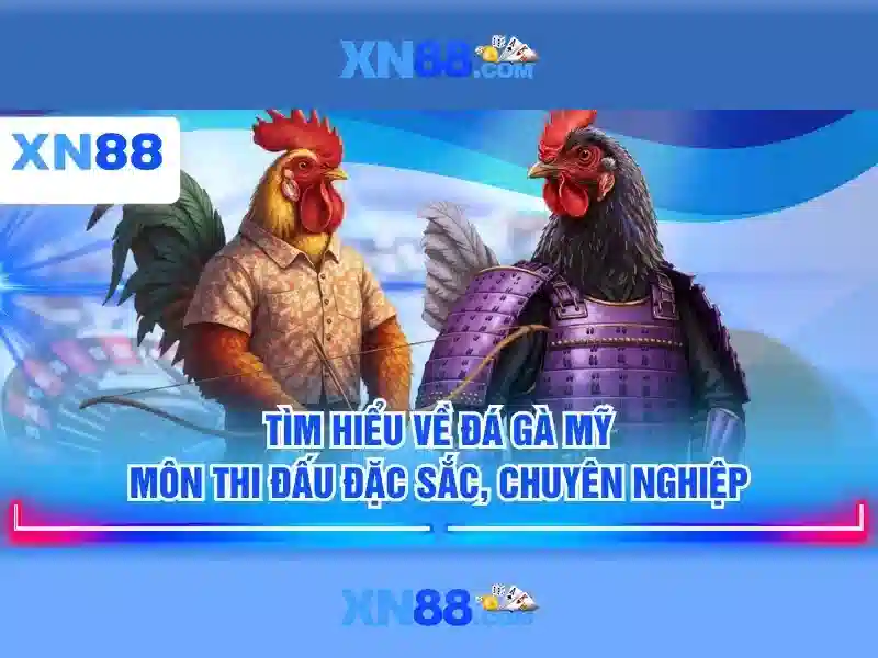 ưu đãi XN88