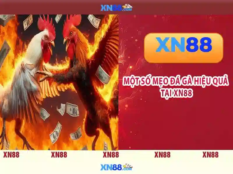 Bảo Mật XN88