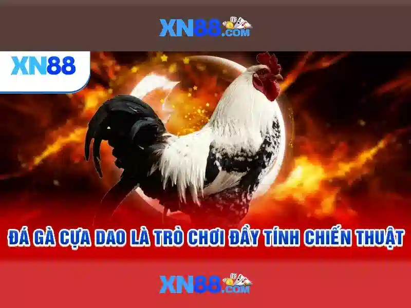 Khuyến Mãi XN88 – Trang Chủ Ưu Đãi Slot Độc Quyền 2026