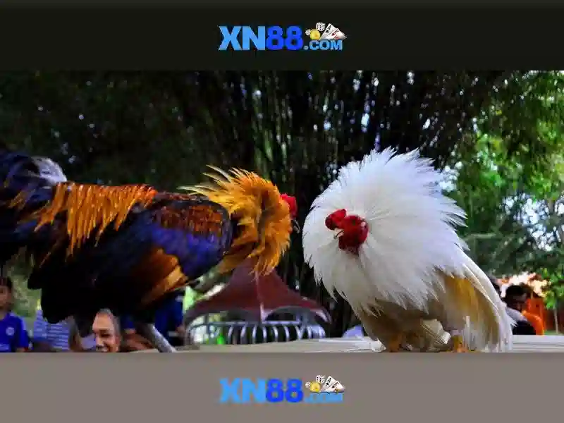 Tận Hưởng Trải Nghiệm Casino Đỉnh Cấp IMG.MG --></p><p>Không gian Casino tại XN88 Gaming mang đậm phong cách sang trọng với các sảnh chơi đa dạng. Người chơi có thể tham gia các trò chơi như Blackjack, Roulette, Baccarat và nhiều tựa game khác với tỷ lệ cược hấp dẫn.</p><h3>Ưu Điểm Của Casino XN88 Gaming</h3><ul><li>Giải thưởng lớn cho người chơi may mắn</li><li>Hỗ trợ 24/7 qua nhiều kênh liên lạc</li><li>Chính sách hoàn trả ưu đãi cho thành viên thân thiết</li></ul><h2>Khuyến Mãi Độc Quyền Cho Thành Viên XN88</h2><p class='body_img'></p><p>Không gian Casino tại XN88 Gaming mang đậm phong cách sang trọng với các sảnh chơi đa dạng. Người chơi có thể tham gia các trò chơi như Blackjack, Roulette, Baccarat và nhiều tựa game khác với tỷ lệ cược hấp dẫn.</p><h3>Ưu Điểm Của Casino XN88 Gaming</h3><ul><li>Giải thưởng lớn cho người chơi may mắn</li><li>Hỗ trợ 24/7 qua nhiều kênh liên lạc</li><li>Chính sách hoàn trả ưu đãi cho thành viên thân thiết</li></ul><h2>Khuyến Mãi Độc Quyền Cho Thành Viên XN88</h2><p class='body_img'><div class=