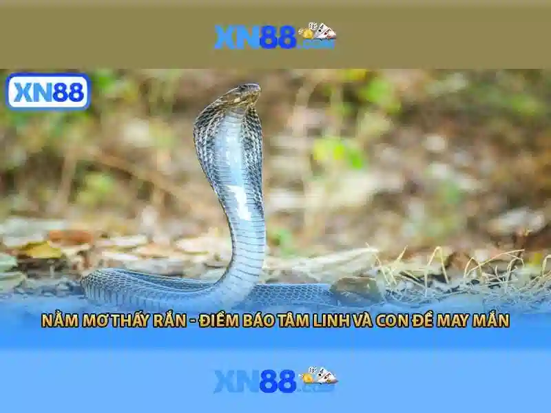 Khuyến Mãi