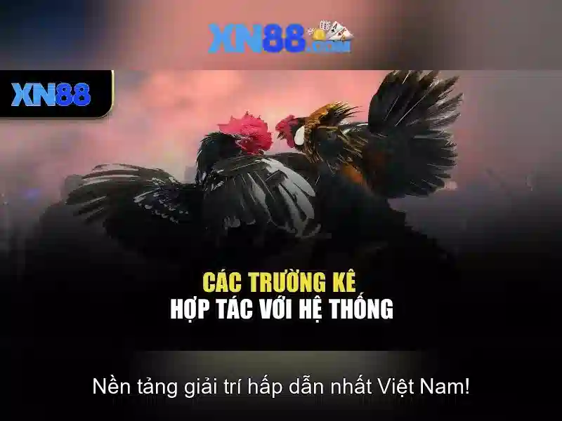 Giới Thiệu XN88 Game