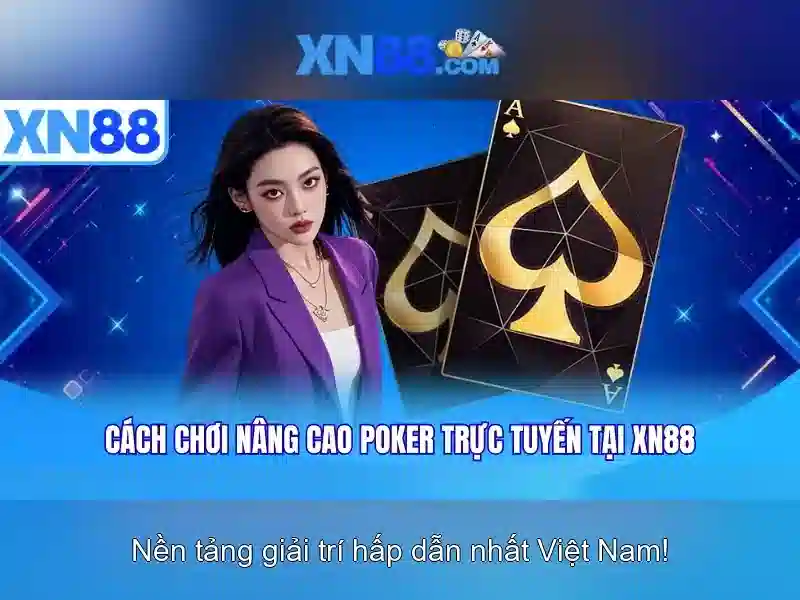 XN88 BSHRF – Chương Trình Ưu Đãi Độc Quyền Cho Thành Viên