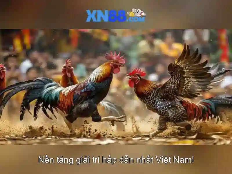 ưu đãi độc quyền cho thành viên xn88 casino