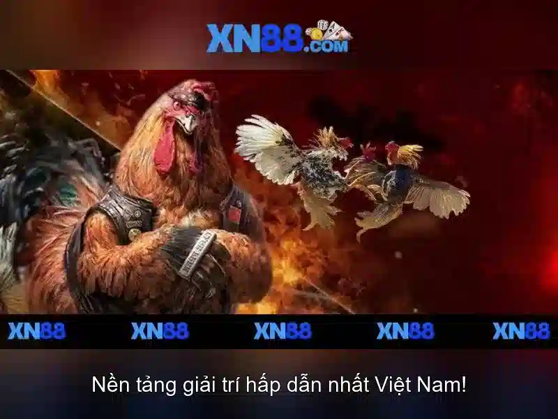XN88 Win