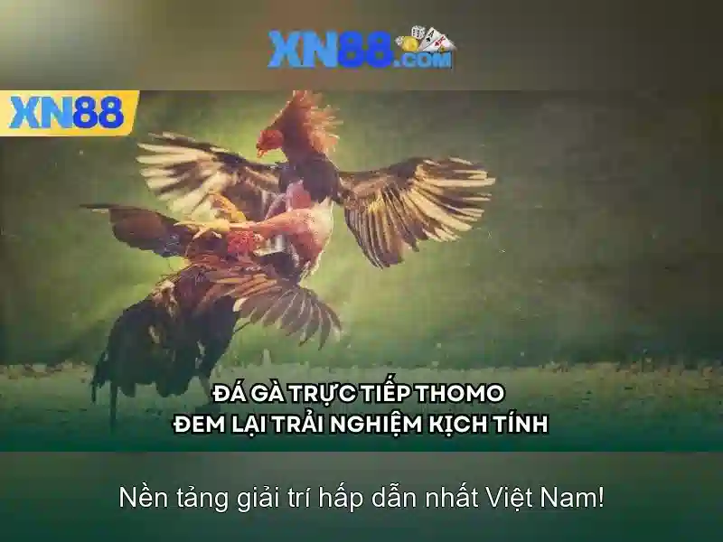 Trải nghiệm Slot