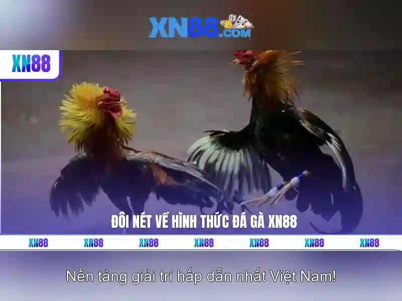 Tính Năng Độc Quyền Của XN88 Com