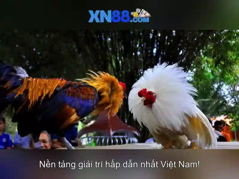 Kinh nghiệm chơi slot