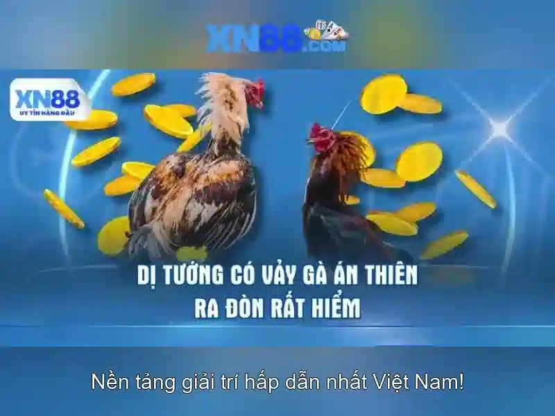 Tỷ lệ thưởng hấp dẫn