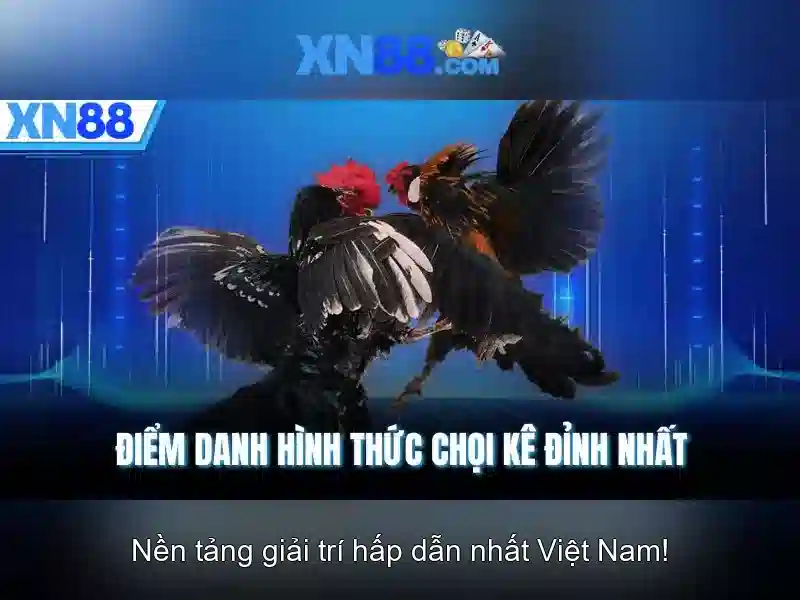 Ưu điểm tải XN88