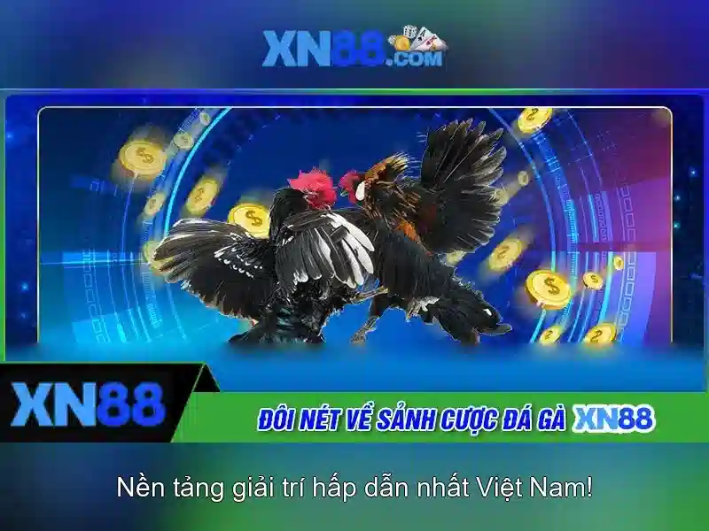 Hướng Dẫn Sử Dụng