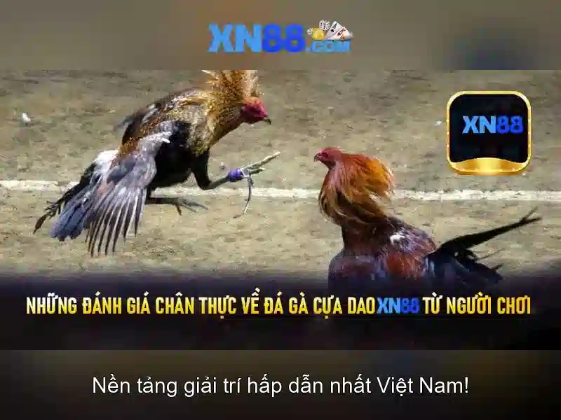 Trải Nghiệm Cá Cược Đỉnh Cao