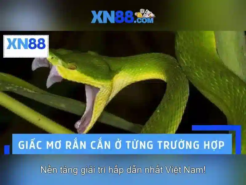 XN88 – Tỷ Lệ Thưởng Hấp Dẫn