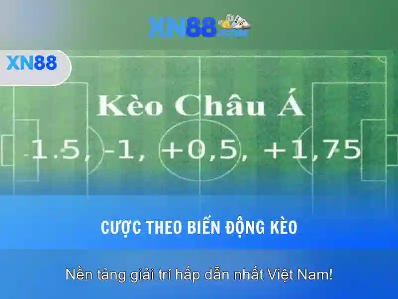 app xn88