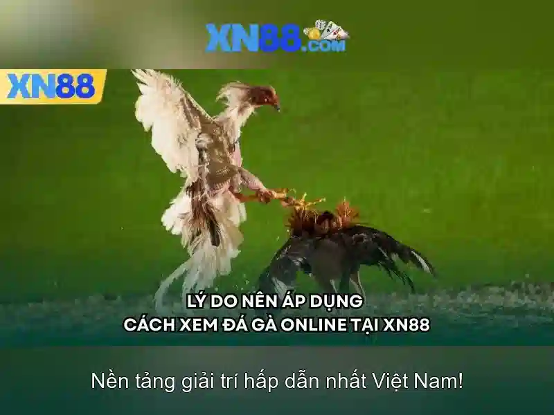Trải nghiệm cá cược Slot đa dạng