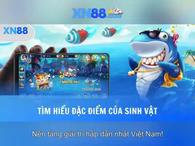 Ưu Đãi XN88 App