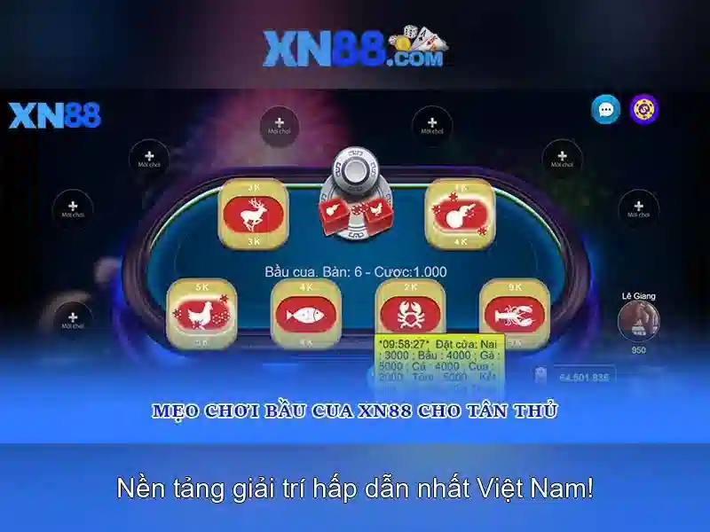 Lưu Ý Khi Đăng Nhập XN88