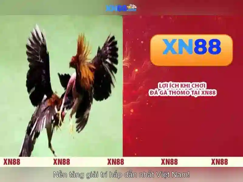 Tải XN88