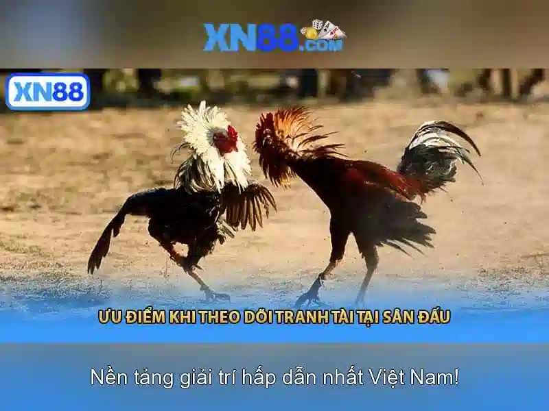 khuyến mãi slot