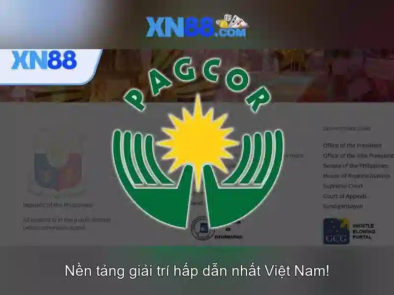 Điều Khoản Sử Dụng XN88