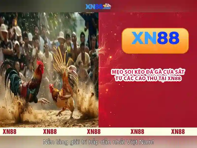 Trải Nghiệm Cá Cược Trực Tuyến Đa Dạng