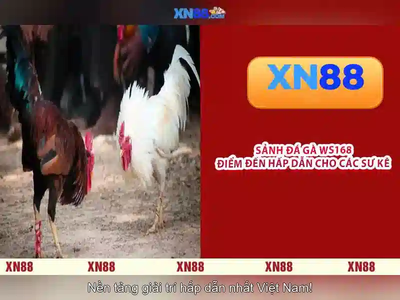XN88 Gaming – Trải Nghiệm Slot Đỉnh Cao Với Các Trò Chơi Cá Cược Đa Dạng