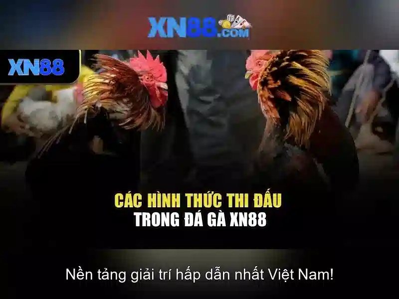Truy Cập XN88