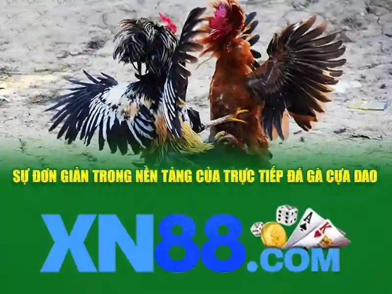 Hệ thống khuyến mãi Slot game tại XN88 bshrf